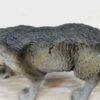 Schleich - 14223 Wolf – Bild 3