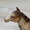 Schleich - 13229 Appaloosa Hengst – Bild 4