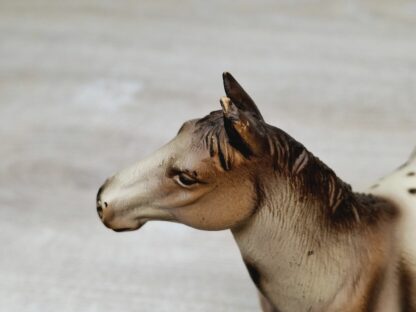 Schleich - 13229 Appaloosa Hengst – Bild 4