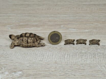 Schleich - 42506 Zuhause für Schildkröten – Bild 3