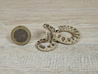 Schleich - 14740 Klapperschlange