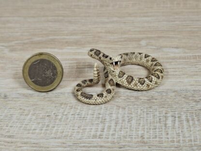 Schleich - 14740 Klapperschlange