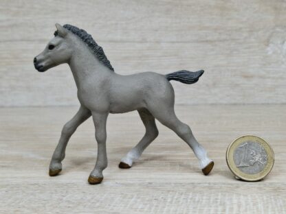 Schleich – Araber Fohlen aus Set 98270 (Kalender 2021) – Bild 2