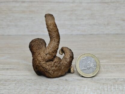 Schleich - 14793 bzw. WWF 17054 Faultier – Bild 2