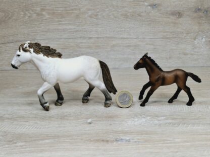 Schleich - Camargue Familie komplett (RAR) – Bild 5