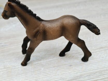 Schleich - Camargue Familie komplett (RAR) – Bild 6