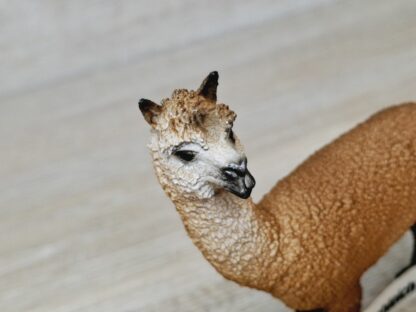 Schleich - 13703 Alpaka Hengst (RAR) (Fähnchen-Sammler)´ – Bild 3