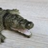 Schleich - 14036 Krokodil [Farbvariante] – Bild 5
