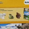 Schleich – 42474 Waldtier mit Wissenskarten [Eisbär, Eichhörnchen, Frosch] (OVP-Sammler) – Bild 3
