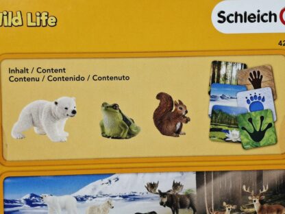 Schleich – 42474 Waldtier mit Wissenskarten [Eisbär, Eichhörnchen, Frosch] (OVP-Sammler) – Bild 3