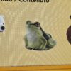 Schleich – 42474 Waldtier mit Wissenskarten [Eisbär, Eichhörnchen, Frosch] (OVP-Sammler) – Bild 4