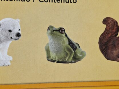 Schleich – 42474 Waldtier mit Wissenskarten [Eisbär, Eichhörnchen, Frosch] (OVP-Sammler) – Bild 4