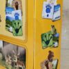 Schleich – 42474 Waldtier mit Wissenskarten [Eisbär, Eichhörnchen, Frosch] (OVP-Sammler) – Bild 5