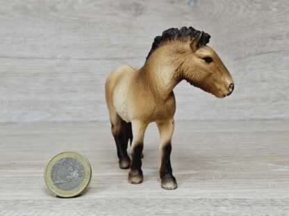 Schleich - 13620 Przewalskipferd – Bild 2