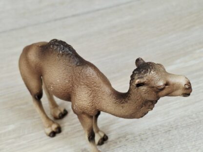 Schleich - 14355 Dromedar – Bild 3