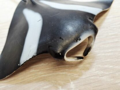 Schleich – 14698 Manta [Rochen] (RAR) – Bild 4