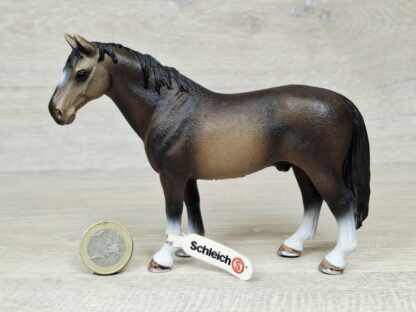 Schleich - 13649 Hannoveraner Hengst (Fähnchen-Sammler)´