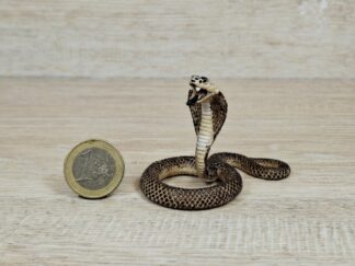 Schleich - 14733 bzw. [Treuefigur] 17057 Kobra
