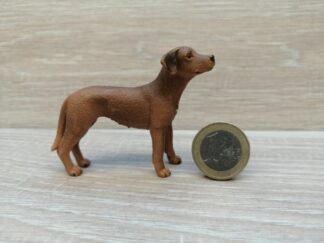 Schleich - 13895 Rhodesian Ridgeback