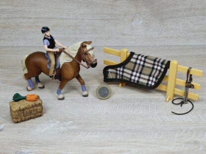 Schleich – Freizeitreiterin mit Zubehör [mit Pferd] aus Set 42189