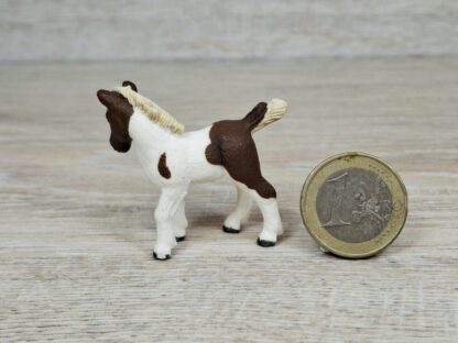 Schleich –13687 Falabella Fohlen – Bild 2