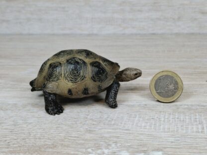 Schleich - Riesenschildkröte Familie [Treuefigur enthalten] – Bild 5