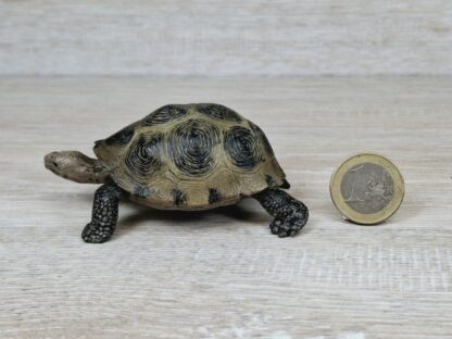 Schleich - Riesenschildkröte Familie [Treuefigur enthalten] – Bild 6