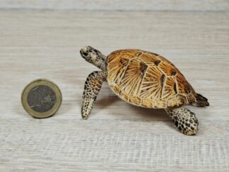 Schleich - 14695 bzw. [Treuefigur] Nr? Meeresschildkröte