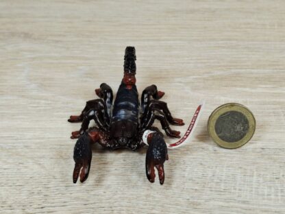 Schleich - 14857 Kaiserskorpion (Fähnchen) – Bild 2