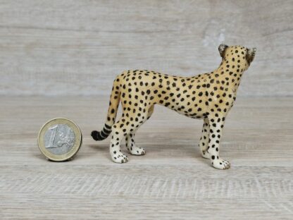Schleich – 14614 Gepardin – Bild 2