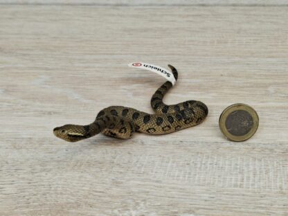 Schleich - 14778 Große Anakonda (Fähnchen-Sammler)´ – Bild 2