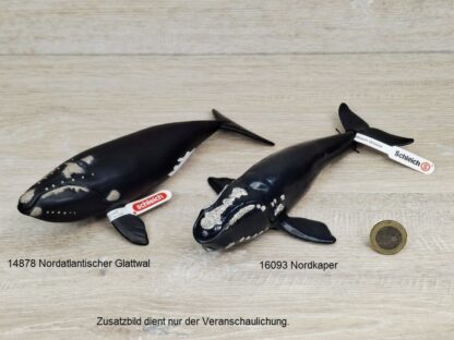 Schleich - 14878 bzw. [Treuefigur] 17092 Nordatlantischer Glattwal (Fähnchen) – Bild 5