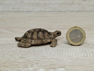 Schleich - Schildkröte aus Set 42506