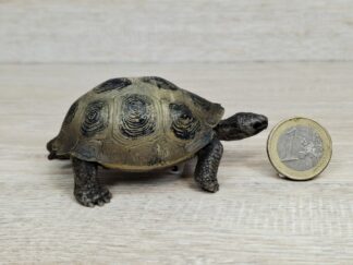 Schleich - 17015 Riesenschildkröte [Treuefigur] (Fähnchen-Sammler)