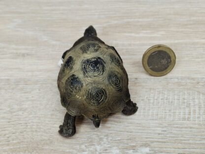 Schleich - 17015 Riesenschildkröte [Treuefigur] (Fähnchen-Sammler) – Bild 2