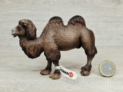 Schleich - 14348 Trampeltier (RAR) (Fähnchen-Sammler)´ – Bild 2
