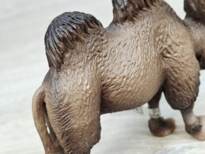 Schleich - 14348 Trampeltier (RAR) (Fähnchen-Sammler)´ – Bild 3