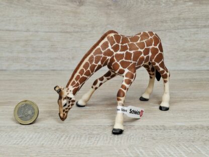 Schleich - 14390 Giraffenkuh saufend (RAR) (Fähnchen-Sammler)´