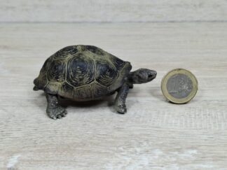 Schleich - 14601 bzw. [Treuefigur] 17015 Riesenschildkröte