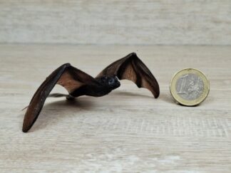 Schleich – 14719 Flughund (Fähnchen-Sammler)´