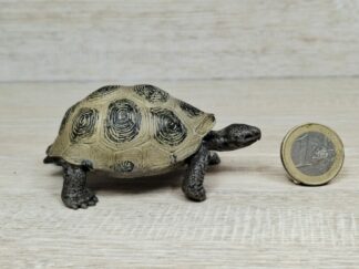 Schleich - 17015 Riesenschildkröte [Treuefigur] (Fähnchen-Sammler)