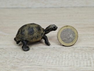 Schleich – 14643 Riesenschildkrötenjunges