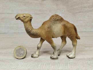 Schleich - 14082 Dromedar