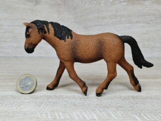 Schleich –13780 Bashkir Curly Stute (RAR)