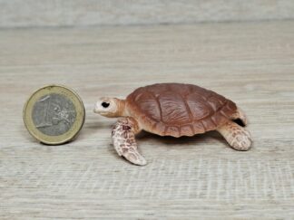 Schleich - 14944 bzw. 14876 bzw. [Treuefigur] 17089 Echte Karettschildkröte [möglicherweise circular Figur]