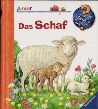 Wieso? Weshalb? Warum? - Das Schaf