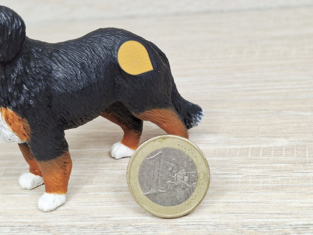 Ravensburger - tiptoi - Spielfiguren - Berner Sennenhund – Bild 3