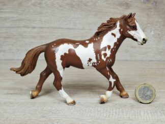 Schleich - 13616 Pinto Hengst [Variante]