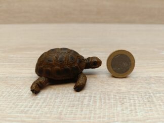 Schleich - 14404 Schildkröte [Die Haustiere – Nr. 4/16]