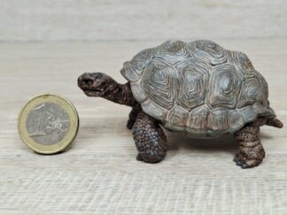 Schleich - 14824 Riesenschildkröte